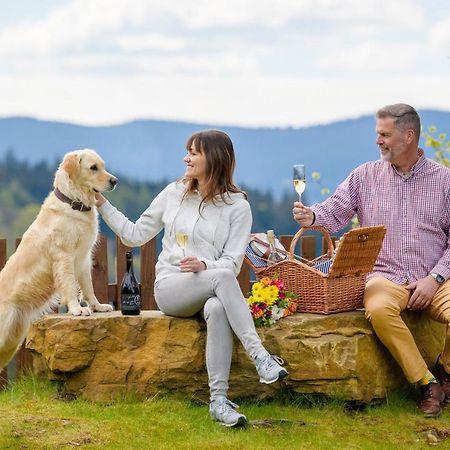 Wellness Aparthotel Martinak Horní Bečva 外观 照片