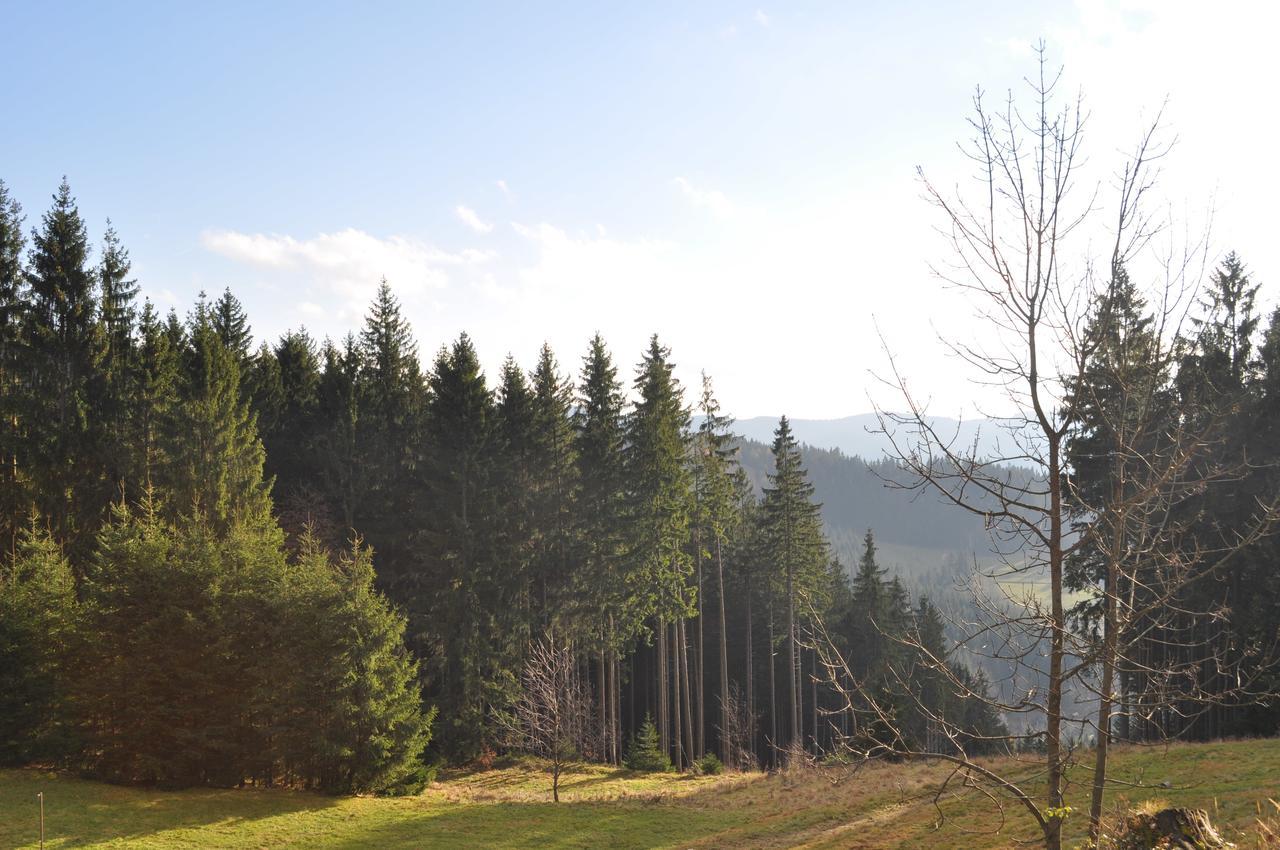 Wellness Aparthotel Martinak Horní Bečva 外观 照片